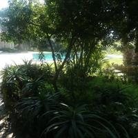 Вилла в Португалии, Албуфейра