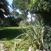 Вилла в Португалии, Албуфейра