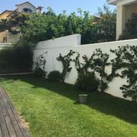 Квартира в Португалии, Албуфейра