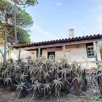Villa in Portugal, Albufeira