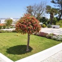 Villa in Portugal, Albufeira