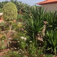 Villa in Portugal, Albufeira