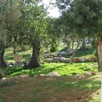 Villa in Portugal, Albufeira