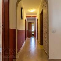 Flat in Portugal, Albufeira