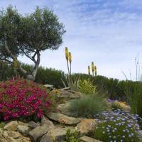 Villa in Portugal, Albufeira