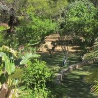 Villa in Portugal, Albufeira