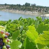 Hotel in Portugal, Albufeira