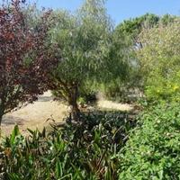 Villa in Portugal, Albufeira