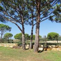 Villa in Portugal, Albufeira
