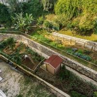 Flat in Portugal, Albufeira