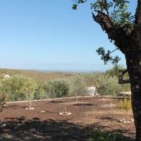 Вилла в Португалии, Албуфейра