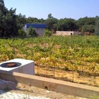 House in Portugal, Albufeira