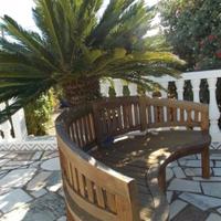 Villa in Portugal, Albufeira