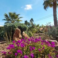 Villa in Portugal, Albufeira