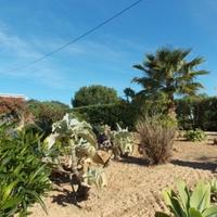 Villa in Portugal, Albufeira