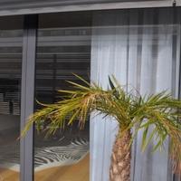 Flat in Portugal, Albufeira