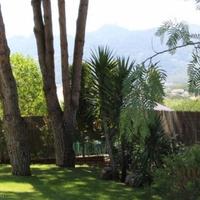 House in Portugal, Albufeira