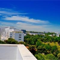 Flat in Portugal, Albufeira