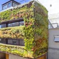 House in Portugal, Albufeira