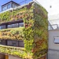 House in Portugal, Albufeira