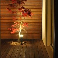 Villa in Portugal, Albufeira