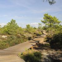 Вилла в Португалии, Албуфейра