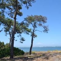 Villa in Portugal, Albufeira