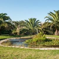 House in Portugal, Albufeira