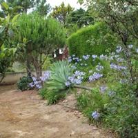 Вилла в Португалии, Албуфейра