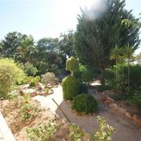 Вилла в Португалии, Албуфейра