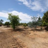 Вилла в Португалии, Албуфейра