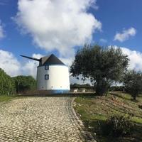 House in Portugal, Albufeira