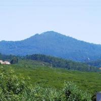 Дом в Португалии, Албуфейра