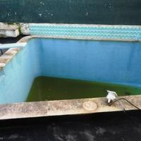 Дом в Португалии, Албуфейра