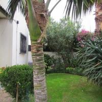 Вилла в Португалии, Албуфейра