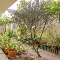 Вилла в Португалии, Албуфейра