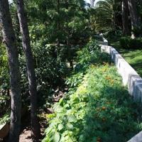 Villa in Portugal, Albufeira