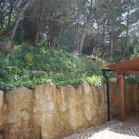 Вилла в Португалии, Албуфейра