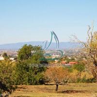 Villa in Portugal, Albufeira, 268 sq.m.