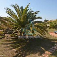 Villa at the first line of the sea / lake in Portugal, Albufeira, 190 sq.m.