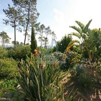 Villa in Portugal, Albufeira, 261 sq.m.