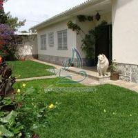 Villa in the city center in Portugal, Albufeira, 550 sq.m.