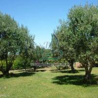 Дом в центре города в Португалии, Албуфейра, 311 кв.м.