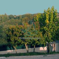 Дом в Португалии, Албуфейра, 400 кв.м.