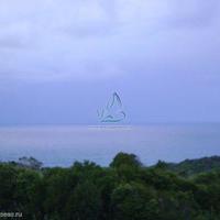 Дом в Португалии, Албуфейра, 1500 кв.м.