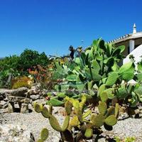 House in Portugal, Albufeira, 180 sq.m.