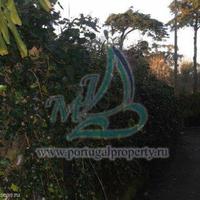 House in the city center in Portugal, Albufeira, 100 sq.m.