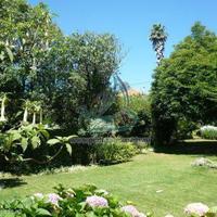 House in the city center in Portugal, Albufeira, 587 sq.m.