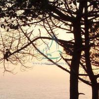 Flat in Portugal, Albufeira, 100 sq.m.