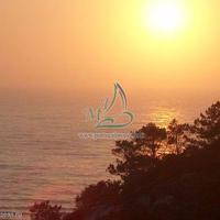 Flat in Portugal, Albufeira, 100 sq.m.